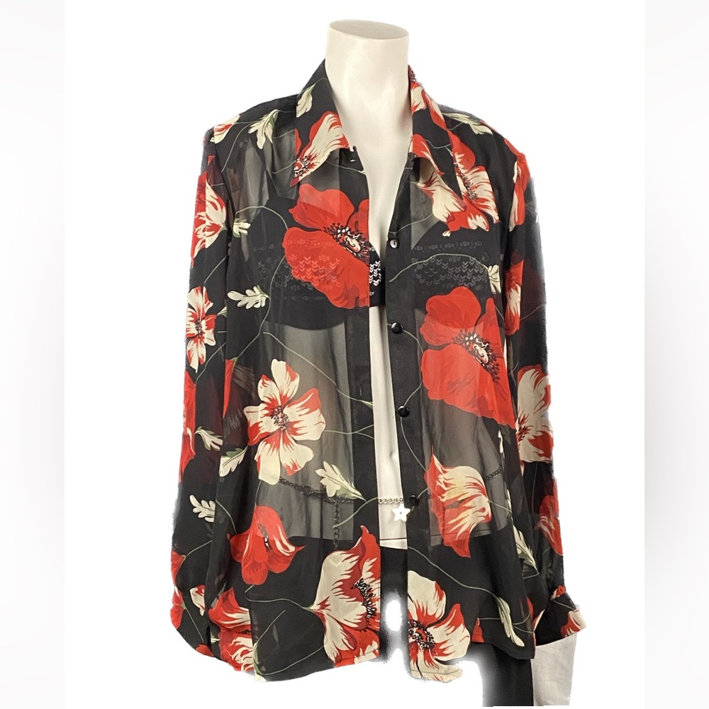 Big Floral Sheer Long Sleeve Collared Blouse Sz L